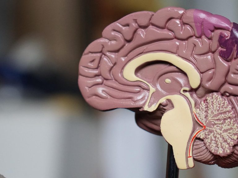 Maladie de Parkinson : une étude inédite suggère un nouveau traitement curatif