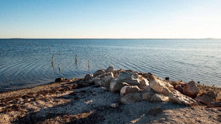 levée officielle des restrictions dans l’étang de Thau
