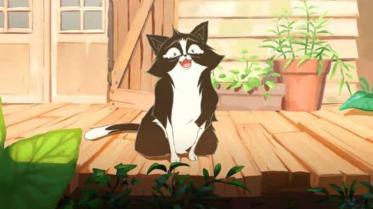 La SPA lance une nouvelle campagne pour lutter contre l&rsquo;abandon des animaux