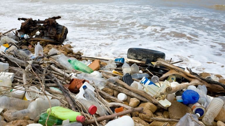 A la Ciotat, vous pouvez payer vos bijoux avec des déchets !