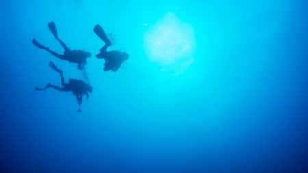 Des plongeurs bénévoles ramassent les filets de pêche à Marseille