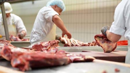 Le ministre de l’Agriculture veut contrôler plus sévèrement les abattoirs en France Le ministre de l’Agriculture veut contrôler plus sévèrement les abattoirs en France