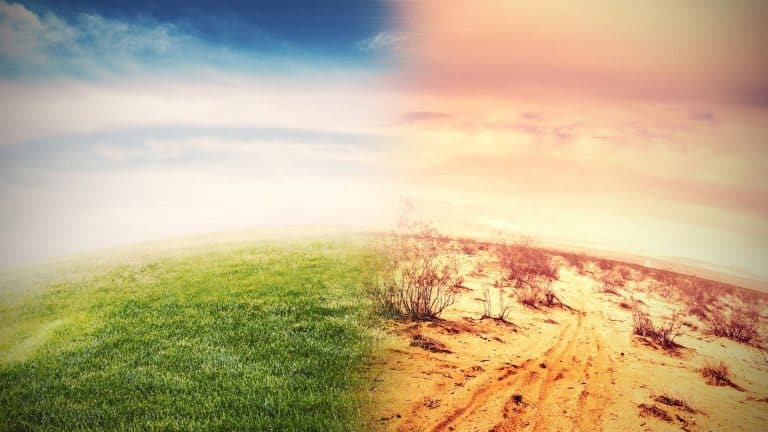 Réchauffement climatique : l&rsquo;ONU tire la sonnette d&rsquo;alarme