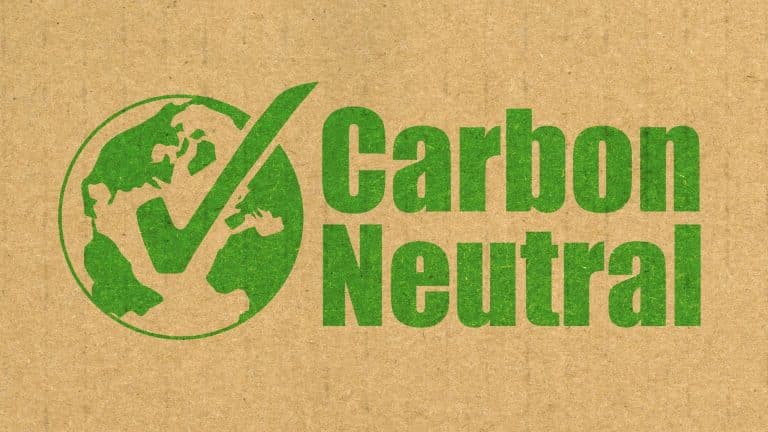La neutralité carbone d’ici 2060, un objectif ambitieux pour la Russie