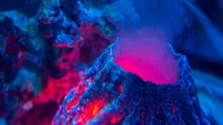 Le quatrième volcan actif de France est à Mayotte Le quatrième volcan actif de France est à Mayotte