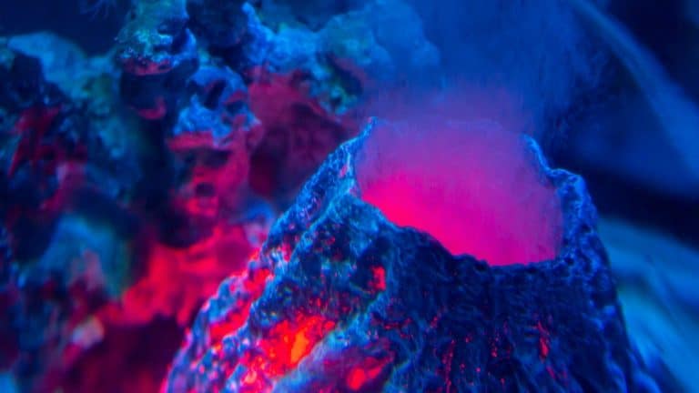 Le quatrième volcan actif de France est à Mayotte