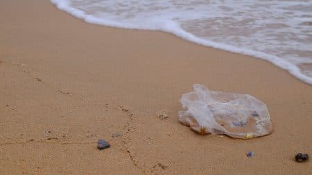 Les Marseillais se mobilisent pour nettoyer les plages
