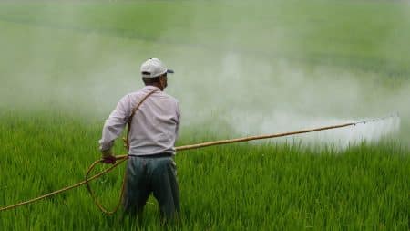 Plus de pesticides dans les zones Natura 2000 en France d’ici 6 mois Plus de pesticides dans les zones Natura 2000 en France d'ici 6 mois