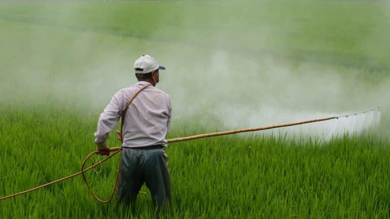 Plus de pesticides dans les zones Natura 2000 en France d&rsquo;ici 6 mois