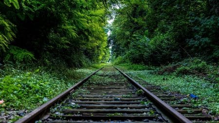 La SNCF abandonne le glyphosate dès 2022