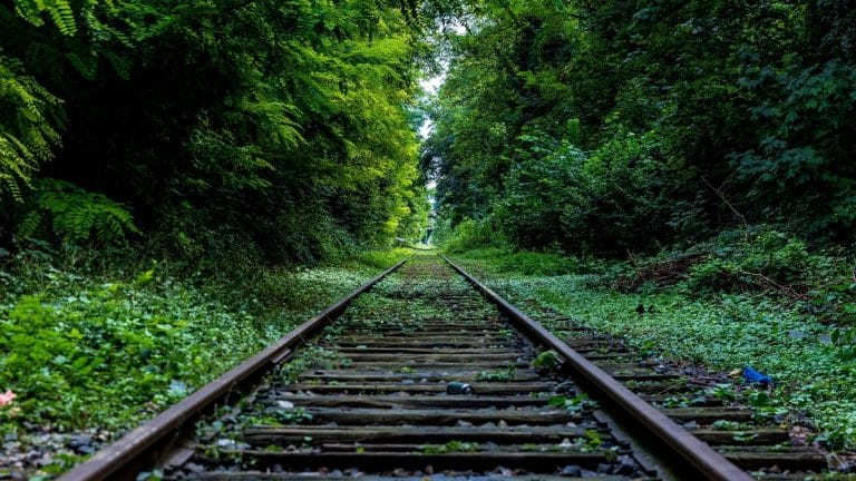 La SNCF abandonne le glyphosate dès 2022