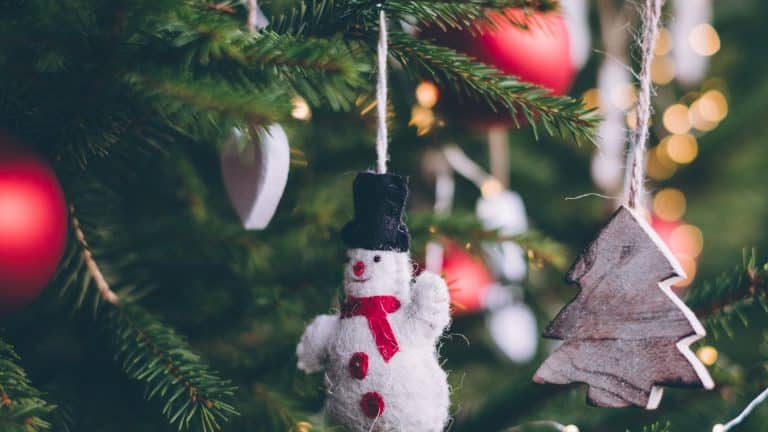Sapin naturel ou sapin artificiel pour Noël ?