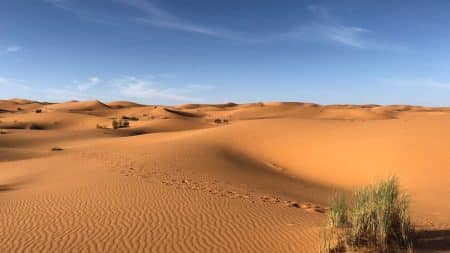De la neige au Sahara De la neige au Sahara