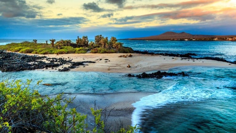 L&rsquo;Equateur étend la zone des eaux protégées
