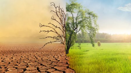 La taille des humains pourrait diminuer à cause de la chaleur