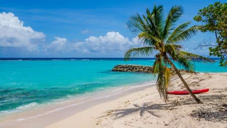 C'est encore une bien triste nouvelle qui nous provient des scientifiques. En effet, le changement climatique serait à l'origine d'une terrible montée des eaux et de catastrophes naturelles particulièrement graves. Malheureusement, les îles des Antilles sont en première ligne, et pourraient devenir totalement inhabitables d'ici 2040. Les Antilles en danger C'est une professeure de géographie de l'Université de La Rochelle qui a rédigé un rapport du GIEC dans lequel elle parle notamment des Antilles qui, selon elle, font partie des îles les plus menacées au monde par la montée des eaux. En effet, certaines zones de la Martinique ou encore de la Guadeloupe sont menacées de manière très précoce. La montée des eaux pourrait complètement submerger les îles antillaises. L’augmentation du niveau de la mer n'est pas un leurre… Et malheureusement, ce phénomène ne peut pas s'arrêter aussi vite qu'on ne le souhaiterait. Des épisodes de submersion ont d'ores et déjà été constatés, notamment durant le mois d'avril 2022 en Guadeloupe. Et selon cette professeure de géographie, ce n'est que le début. L'érosion des îles L’origine de la montée des eaux se trouve évidemment le réchauffement climatique, mais aussi l'érosion des îles. La hausse des températures joue un rôle majeur dans ce phénomène, et les impacts sont nombreux. Les cyclones par exemple vont devenir de plus en plus intenses. L'érosion côtière quant à elle va totalement bouleverser les zones touristiques et les zones d'habitation. D'après elle, certaines zones seront totalement inhabitables d'ici seulement 20 ans. En effet, en 2040, les premières submersions des îles des Antilles pourraient être une réalité. C'est donc une véritable catastrophe qui se joue dans cette région du monde, et il est plus que temps d'agir pour trouver des solutions acceptables.
