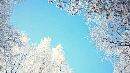 Une vague de froid historique s'abat sur les Etats-Unis et le Canada