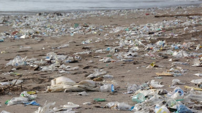 L&rsquo;ONG Ocean Cleanup tire la sonnette d&rsquo;alarme