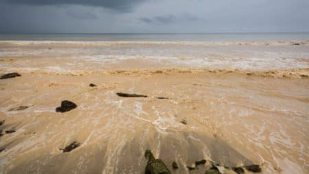 Le phénomène météorologique El Niño serait de retour