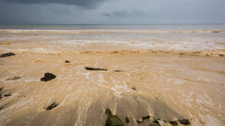 Le phénomène météorologique El Niño serait de retour
