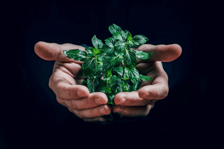 Actualité sur l’écologie : quel est l’impact du traité sur la charte de l’énergie ?