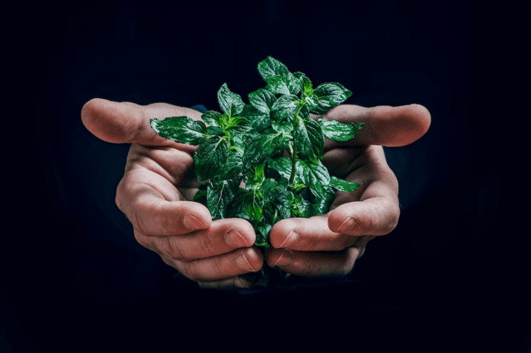 Actualité sur l&rsquo;écologie : quel est l&rsquo;impact du traité sur la charte de l&rsquo;énergie ?