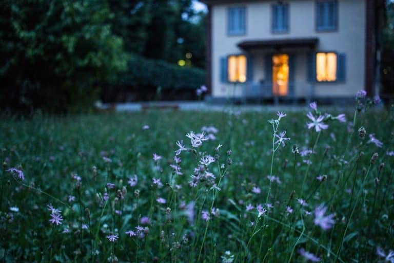 Comment décorer son jardin en restant écolo ?