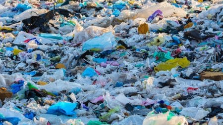 Une coupe du monde de la course aux déchets organisée au Japon