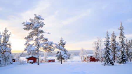 Ces maisons suédoises permettent de passer l'hiver sans chauffage !