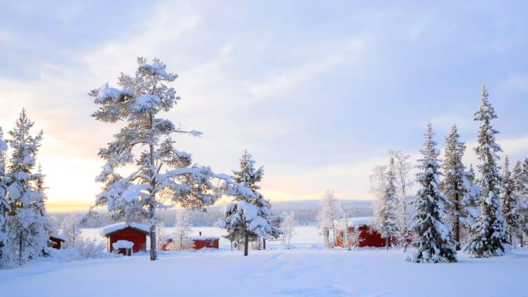 Ces maisons suédoises permettent de passer l&rsquo;hiver sans chauffage !
