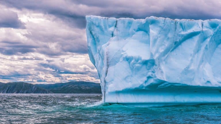 Un iceberg géant se déplace en Antarctique