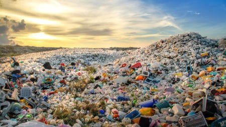 La loi antigaspillage de 2020 n'est pas efficace