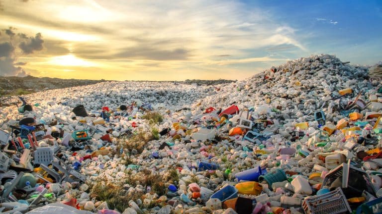 La loi antigaspillage de 2020 n&rsquo;est pas efficace
