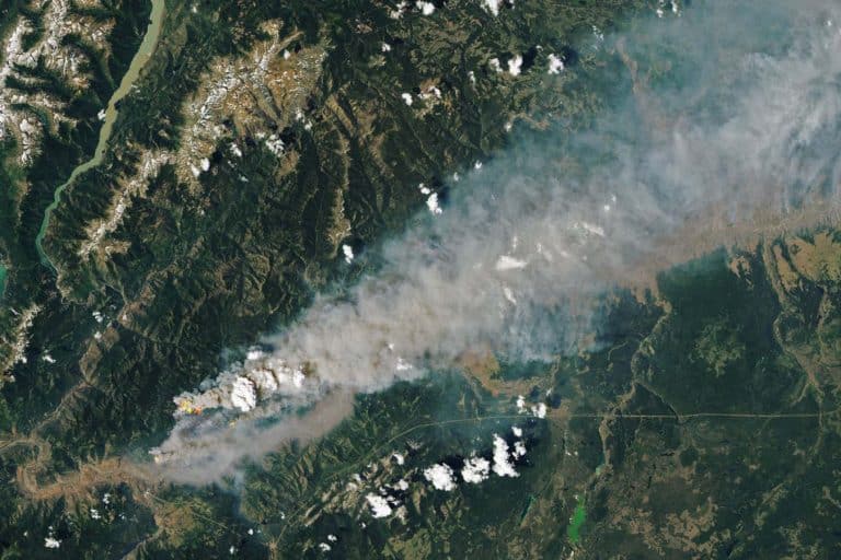 La fumée des incendies de forêt : nouvelle menace mortelle du changement climatique aux États-Unis