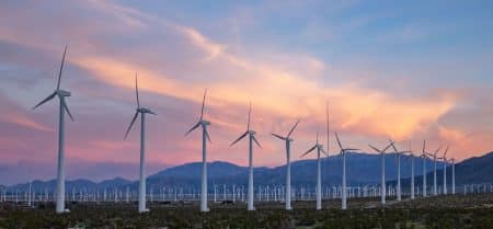 La biomimétisme au service de l’énergie éolienne : une révolution est-elle en marche ? La biomimétisme au service de l'énergie éolienne : une révolution est-elle en marche ?