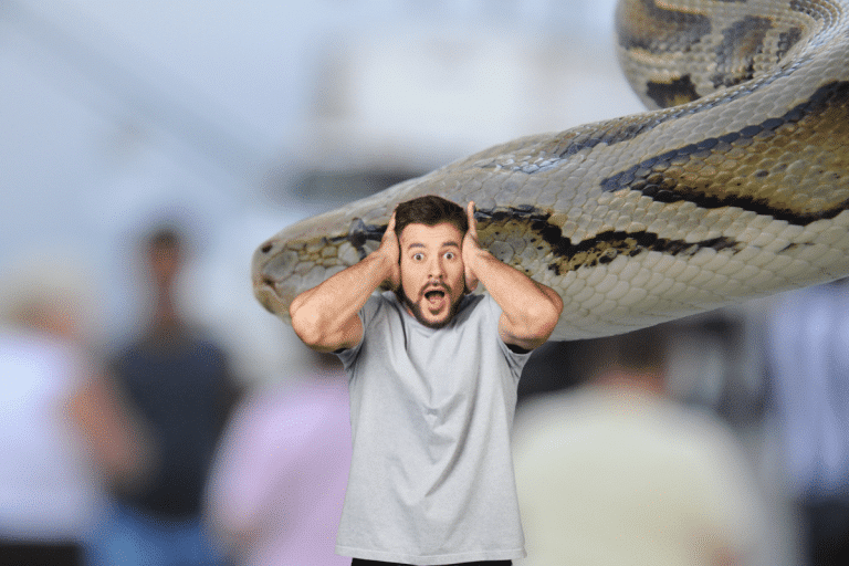 Ils ont découvert le serpent le plus grand au monde