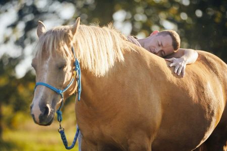 La thérapie par les chevaux : une interaction volontaire, pas toujours garantie