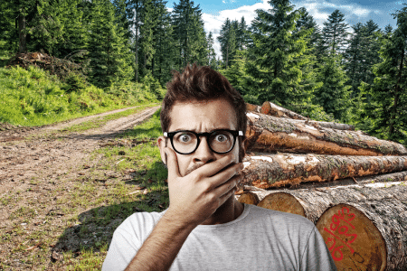 Arbres abattus, déchets doublés : stop à la fast déco grâce à cette solution inédite !