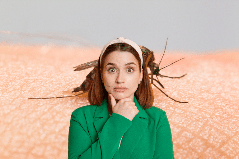 Ce que les moustiques font pour vous : la révélation qui va tout changer !