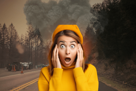 Changement climatique, la Corée du Sud ressent déjà les effets, voici comment Changement climatique, la Corée du Sud ressent déjà ses effets, voici coment