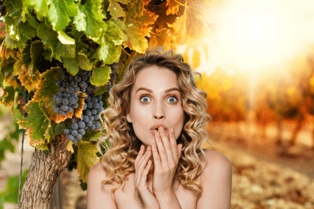 Changement climatique : découvrez l'incroyable parade des vignobles pour survivre