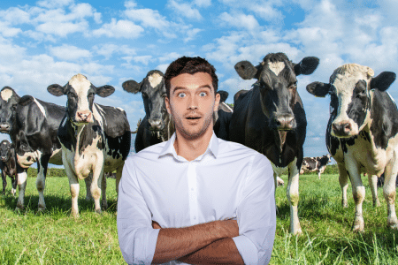 Découverte impressionnante : voici comment cette simple piqûre sur les vaches pourrait inverser le réchauffement climatique