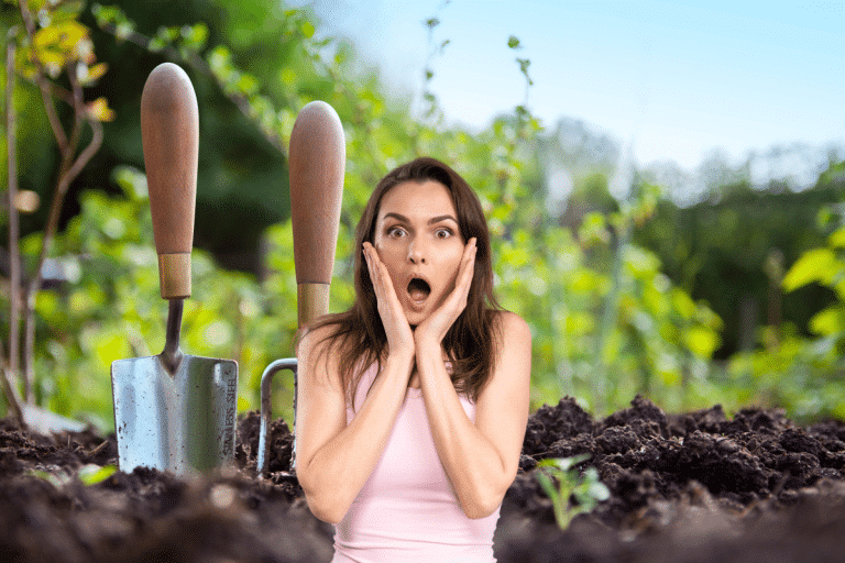 Cette erreur de jardinage peut vous mener en prison, voici pourquoi