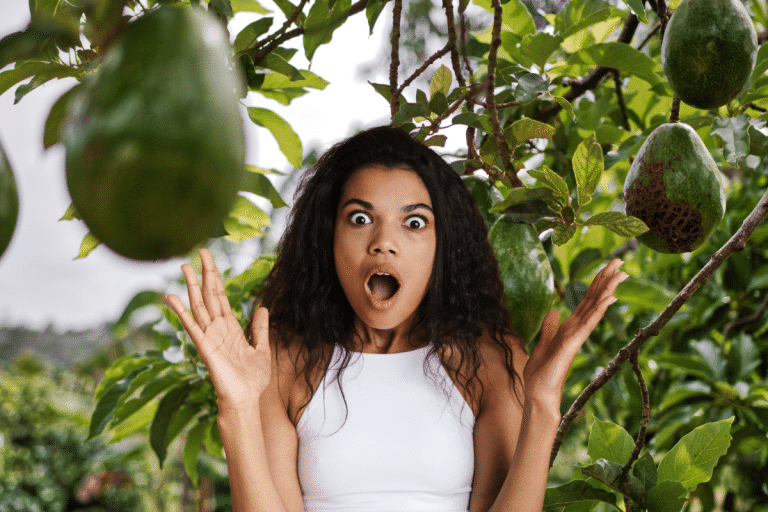 Ce fruit très apprécié est en danger : voici comment le changement climatique menace sa survie