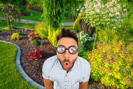 Jardin bio : ces animaux sont vos alliés, voici pourquoi Jardin bio : ces animaux sont vos alliés, voici pourquoi