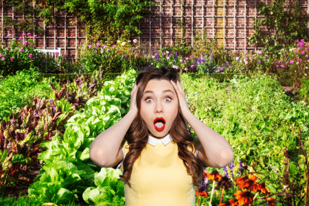 Malgré le changement climatique, ce potager a tenu 185 ans, voici comment