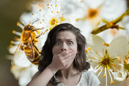 Pollinisateurs en danger : cette catastrophe imminente pour notre alimentation Pollinisateurs en danger : cette catastrophe imminente pour notre alimentation