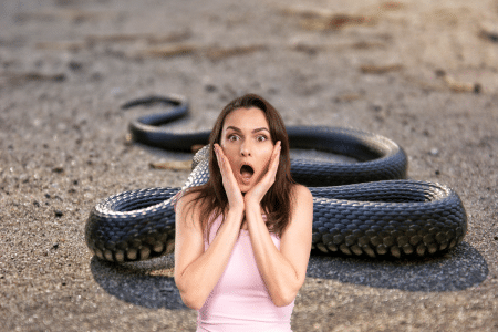 Réchauffement climatique : les serpents venimeux vont migrer vers ces régions Réchauffement climatique : les serpents venimeux vont migrer vers ces régions