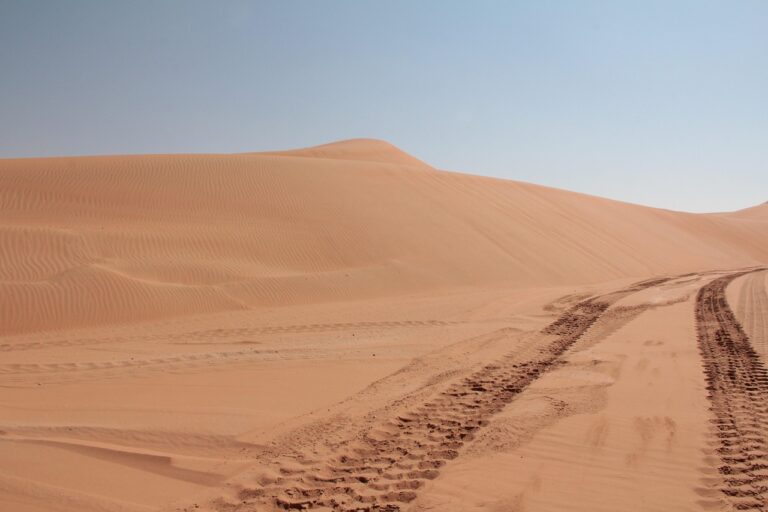 Découvrez l&rsquo;étrange phénomène du mirage chaud : des mirages qui défient la réalité et vos sens
