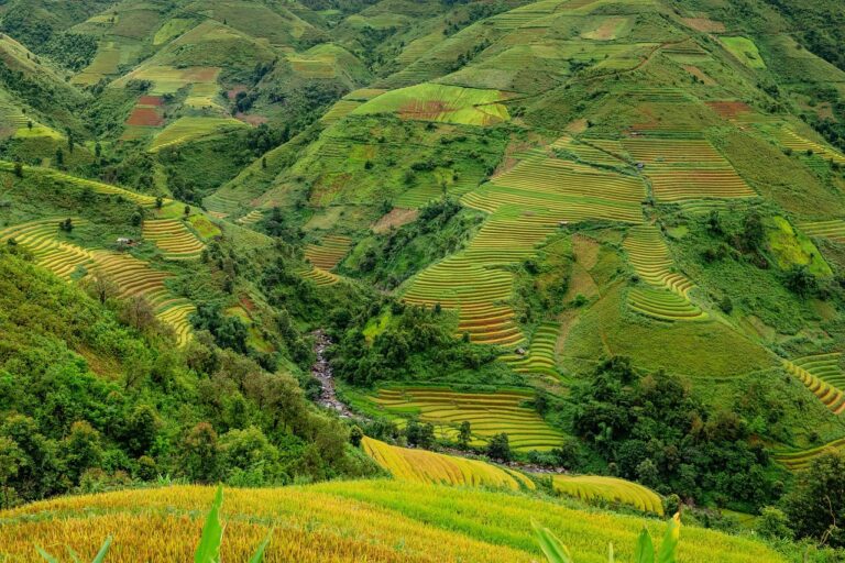 Les solutions naturelles surpassent les technologies : comment éviter les catastrophes naturelles et sauver notre avenir
